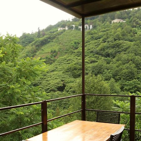 Modular House Green Zyland Y Batumi Eksteriør billede